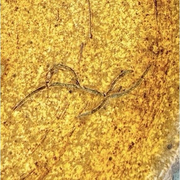 Hand Thrown Art Pottery Bowl Bluish Green Glaze w/Rings Artist Signed Multi Use - Picture 14 of 16